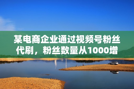 某电商企业通过视频号粉丝代刷，粉丝数量从1000增加到10万，销量大幅提升。