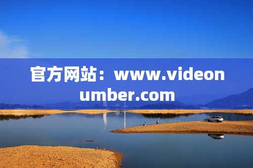 官方网站：www.videonumber.com