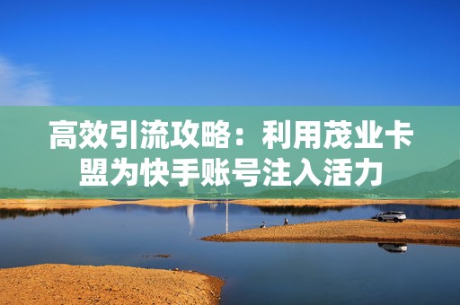高效引流攻略：利用茂业卡盟为快手账号注入活力