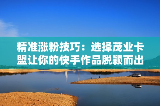 精准涨粉技巧：选择茂业卡盟让你的快手作品脱颖而出