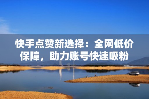 快手点赞新选择：全网低价保障，助力账号快速吸粉
