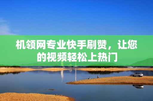 机领网专业快手刷赞，让您的视频轻松上热门