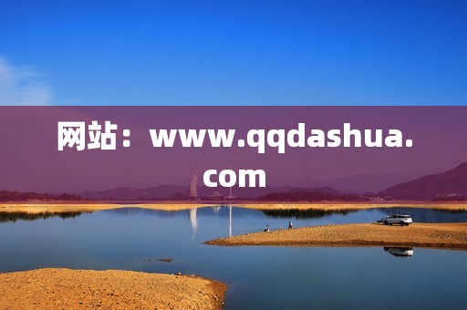 网站：www.qqdashua.com