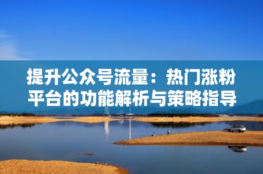 提升公众号流量：热门涨粉平台的功能解析与策略指导