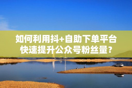 如何利用抖+自助下单平台快速提升公众号粉丝量？