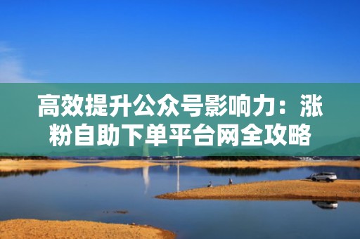 高效提升公众号影响力：涨粉自助下单平台网全攻略