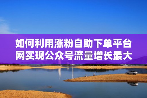 如何利用涨粉自助下单平台网实现公众号流量增长最大化