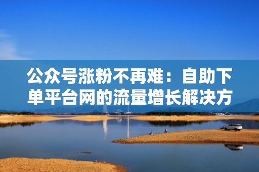 公众号涨粉不再难：自助下单平台网的流量增长解决方案