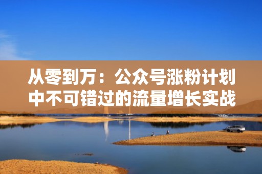 从零到万:公众号涨粉计划中不可错过的流量增长实战指南 从零到万:公众号涨粉计划中不可错过的流量增长实战指南