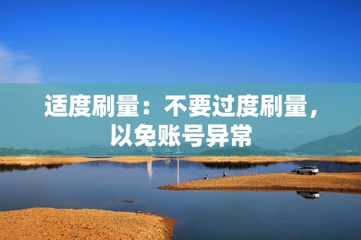 适度刷量：不要过度刷量，以免账号异常