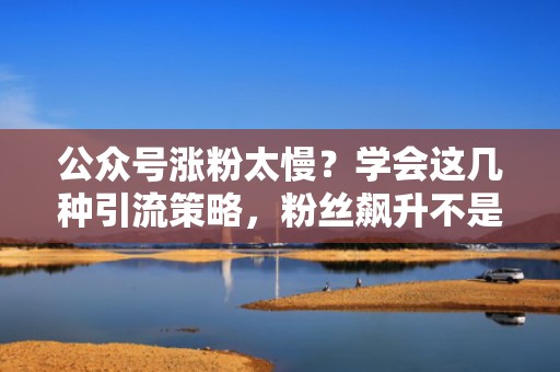 公众号涨粉太慢?学会这几种引流策略,粉丝飙升不是梦 公众号涨粉太慢?学会这几种引流策略,粉丝飙升不是梦