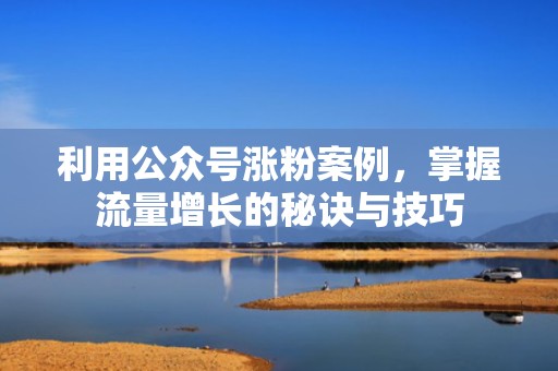 利用公众号涨粉案例,掌握流量增长的秘诀与技巧 利用公众号涨粉案例,掌握流量增长的秘诀与技巧