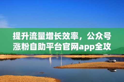 提升流量增长效率,公众号涨粉自助平台官网app全攻略 提升流量增长效率,公众号涨粉自助平台官网app全攻略