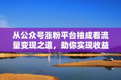 从公众号涨粉平台抽成看流量变现之道,助你实现收益最大化 从公众号涨粉平台抽成看流量变现之道,助你实现收益最大化