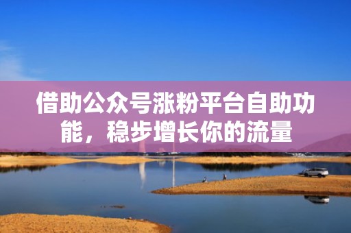 借助公众号涨粉平台自助功能,稳步增长你的流量 借助公众号涨粉平台自助功能,稳步增长你的流量
