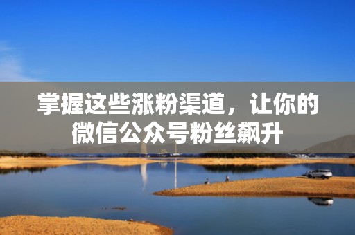 掌握这些涨粉渠道,让你的微信公众号粉丝飙升 掌握这些涨粉渠道,让你的微信公众号粉丝飙升