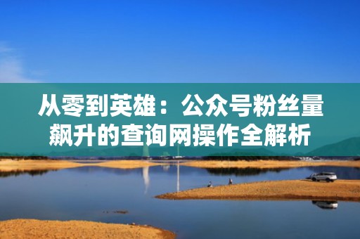 从零到英雄:公众号粉丝量飙升的查询网操作全解析 从零到英雄:公众号粉丝量飙升的查询网操作全解析