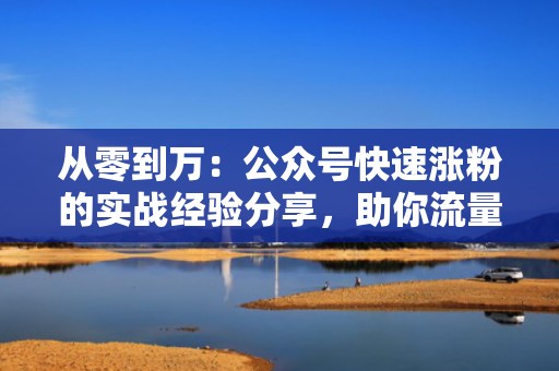 从零到万：公众号快速涨粉的实战经验分享，助你流量飙升！