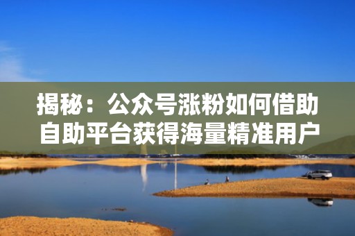 揭秘：公众号涨粉如何借助自助平台获得海量精准用户