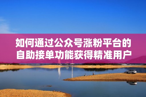 如何通过公众号涨粉平台的自助接单功能获得精准用户 如何通过公众号涨粉平台的自助接单功能获得精准用户