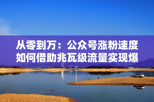 从零到万:公众号涨粉速度如何借助兆瓦级流量实现爆发 从零到万:公众号涨粉速度如何借助兆瓦级流量实现爆发