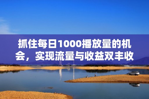 抓住每日1000播放量的机会,实现流量与收益双丰收 抓住每日1000播放量的机会,实现流量与收益双丰收