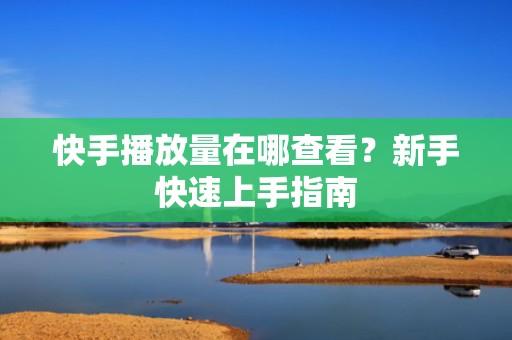 快手播放量在哪查看？新手快速上手指南