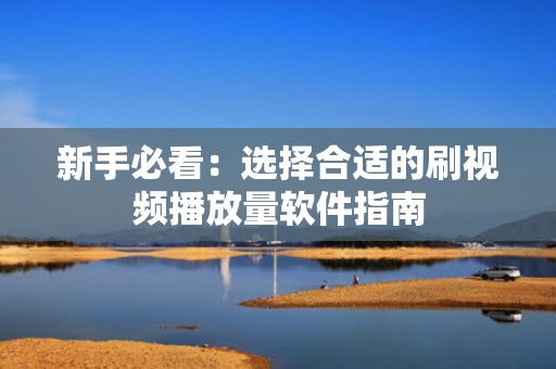 新手必看：选择合适的刷视频播放量软件指南