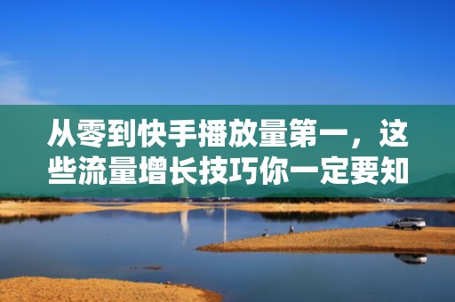 从零到快手播放量第一，这些流量增长技巧你一定要知道