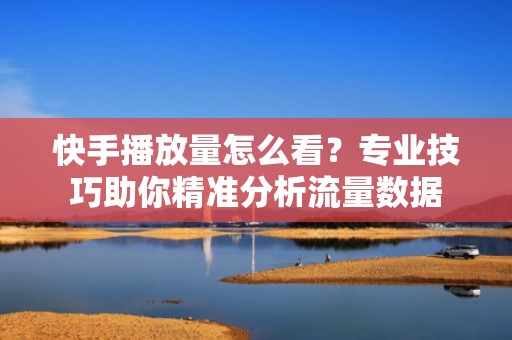 快手播放量怎么看？专业技巧助你精准分析流量数据