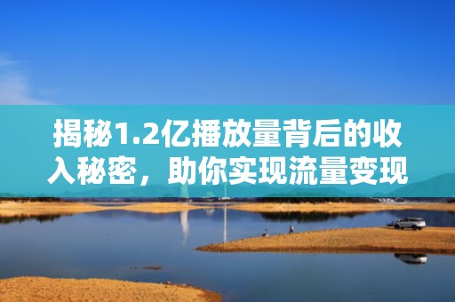 揭秘1.2亿播放量背后的收入秘密,助你实现流量变现