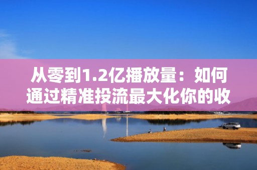 从零到1.2亿播放量：如何通过精准投流最大化你的收入