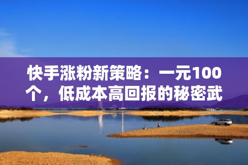 快手涨粉新策略：一元100个，低成本高回报的秘密武器