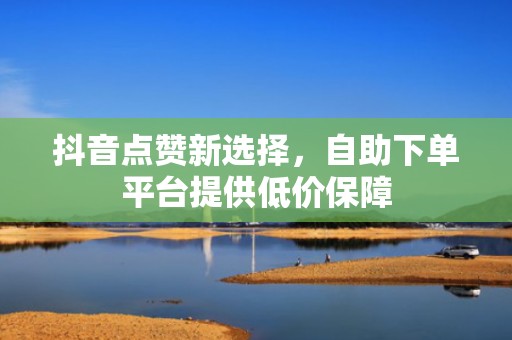 抖音点赞新选择，自助下单平台提供低价保障
