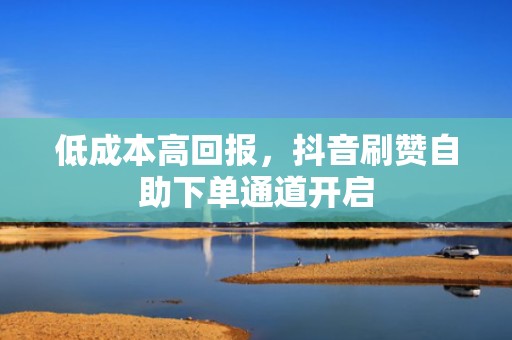 低成本高回报，抖音刷赞自助下单通道开启