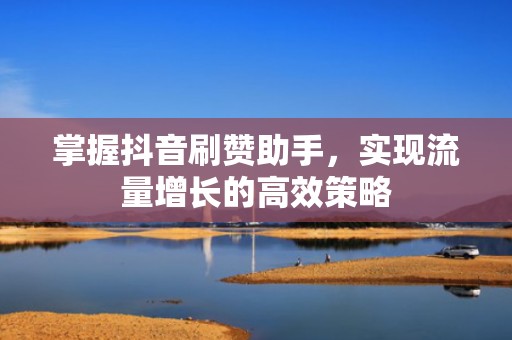 掌握抖音刷赞助手，实现流量增长的高效策略