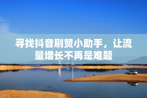 寻找抖音刷赞小助手，让流量增长不再是难题