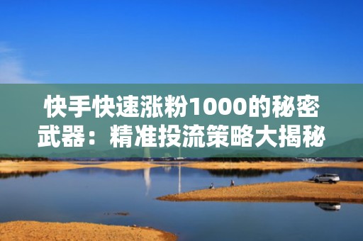 快手快速涨粉1000的秘密武器：精准投流策略大揭秘