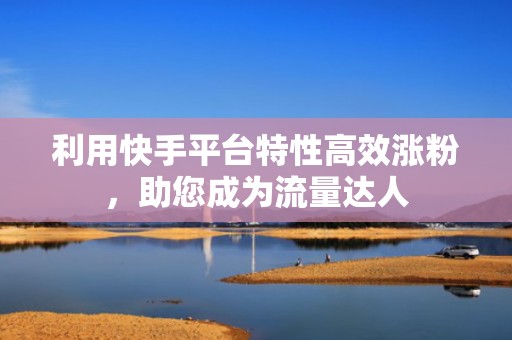 利用快手平台特性高效涨粉,助您成为流量达人