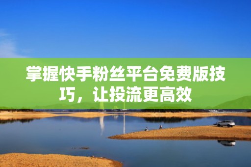 掌握快手粉丝平台免费版技巧，让投流更高效