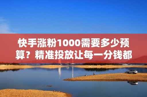 快手涨粉1000需要多少预算？精准投放让每一分钱都值