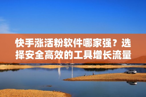 快手涨活粉软件哪家强？选择安全高效的工具增长流量