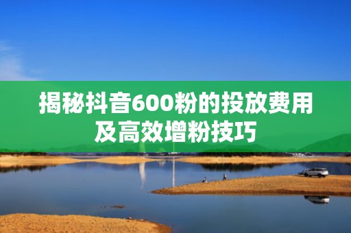 揭秘抖音600粉的投放费用及高效增粉技巧