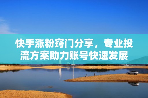 快手涨粉窍门分享，专业投流方案助力账号快速发展