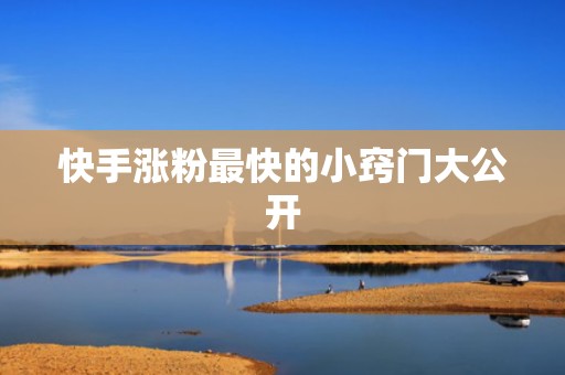 快手涨粉最快的小窍门大公开