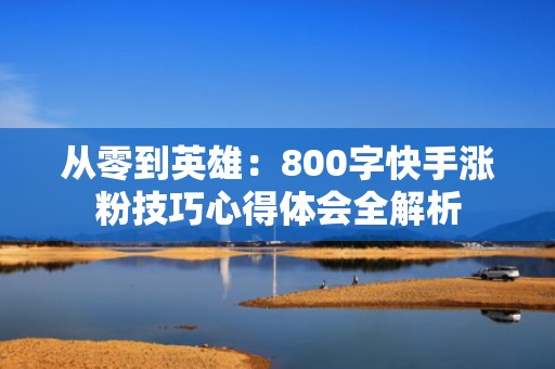 从零到英雄：800字快手涨粉技巧心得体会全解析