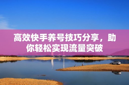 高效快手养号技巧分享,助你轻松实现流量突破