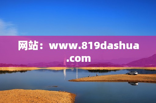 网站：www.819dashua.com