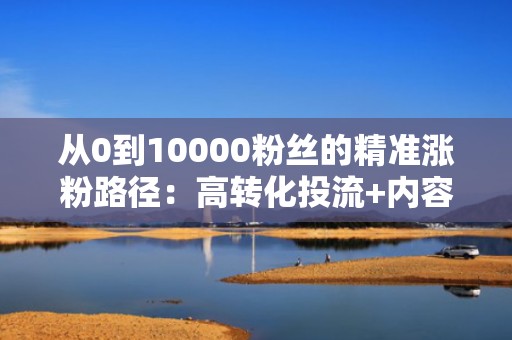 从0到10000粉丝的精准涨粉路径：高转化投流+内容标签优化组合打法