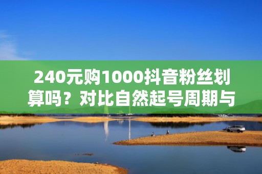 240元购1000抖音粉丝划算吗？对比自然起号周期与付费投流加速冷启动的实测效果